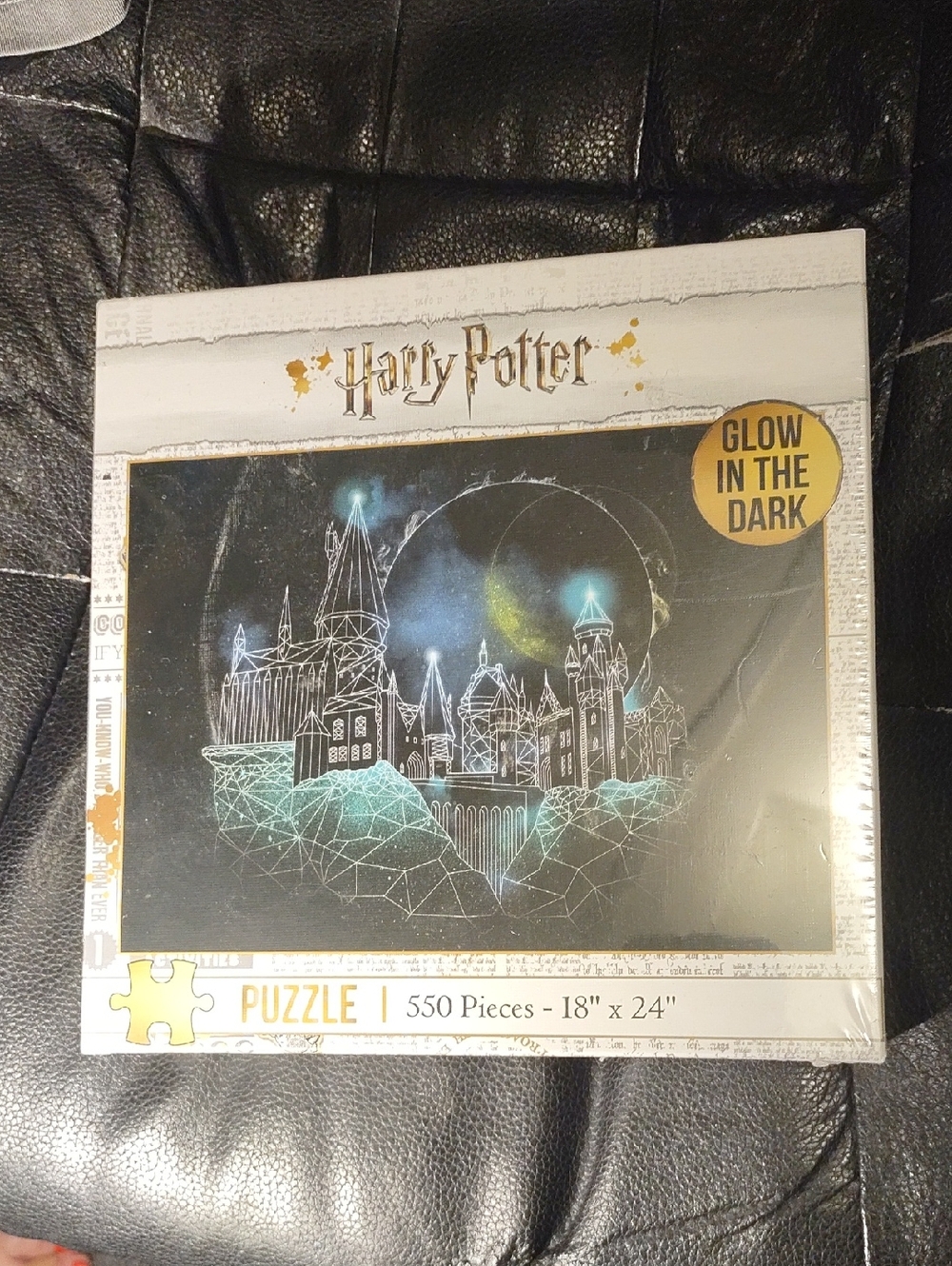 Warner Bros. Harry Potter Glow Puzzle - Black & Teal Highlights
